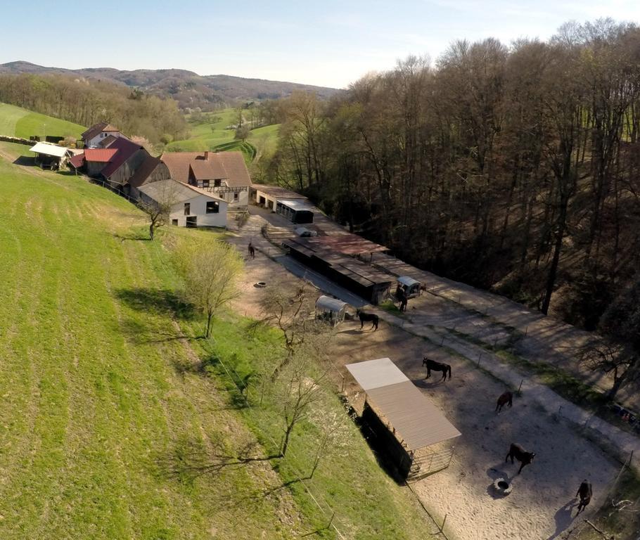 Pferdehof Und Wanderreitstation Doersam Vila Mörlenbach Exterior foto